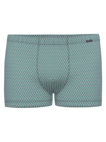 Ammann Boxershorts in Grün