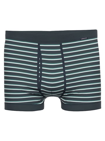 Ammann Boxershorts in Dunkelblau