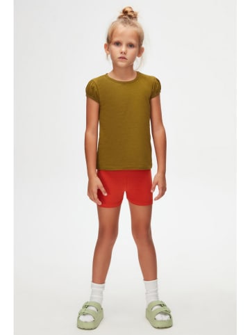 lovetti Shirt in Khaki