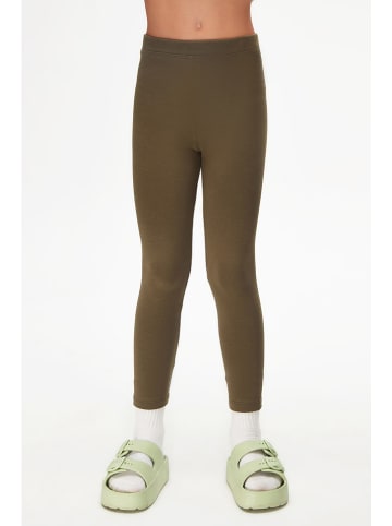 lovetti Leggings in Khaki