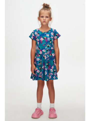 lovetti Kleid in Blau