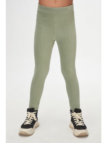 lovetti Legging groen