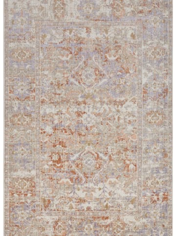 Nouristan Indoor-/ Outdoor-Teppich "Cairo" in Rot/ Creme