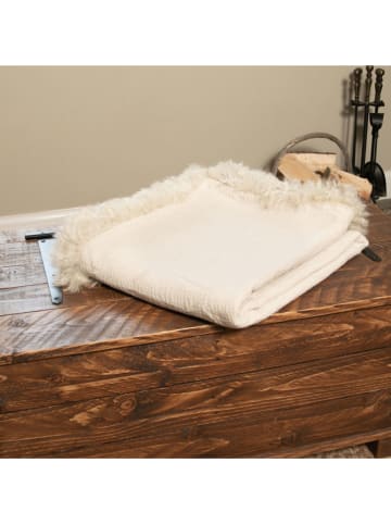 Native Home Plaid beige