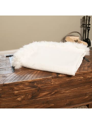 Native Home Plaid crème