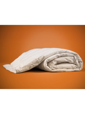 Häussling Bettwaren Kołdra letnia "Hjemme Hygge" w kolorze białym