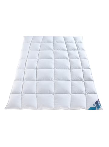 Häussling Bettwaren Ganzjahres-Daunendecke "Hjemme Hygge" in Weiß