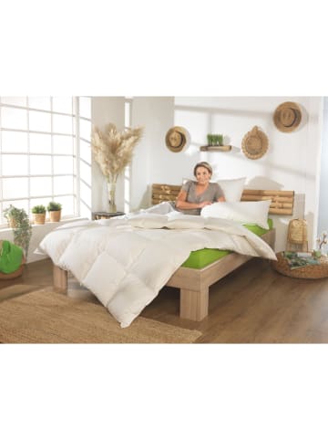 Häussling Bettwaren Zimowa kołdra puchowa w kolorze białym