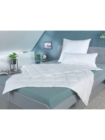 Häussling Bettwaren Całoroczna kołdra "All Season" w kolorze białym