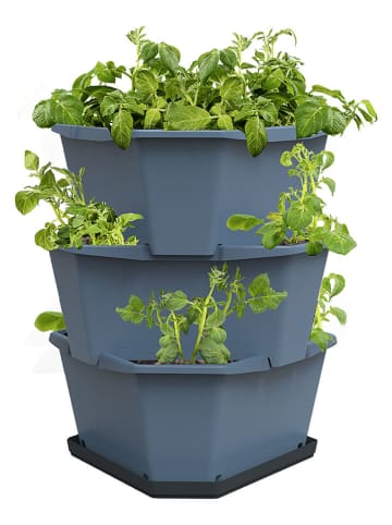 Gusta Garden Kartoffelturm "Paul Potato" in Blau - (B)38 x (H)50 x (T)38 cm
