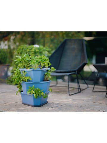 Gusta Garden Kartoffelturm "Paul Potato" in Blau - (B)38 x (H)50 x (T)38 cm