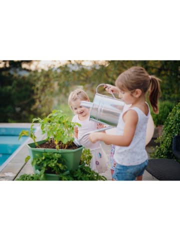 Gusta Garden Wieża "Paul Potato" w kolorze zielonym do uprawy ziemniaków - 44 x 65 x 44 cm