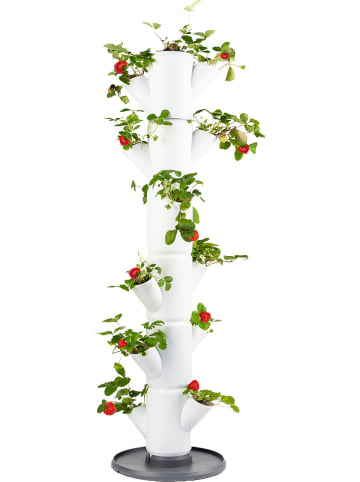 Gusta Garden Pflanzsystem "Sissi Strawberry Classic" in Weiß - (H)113 cm