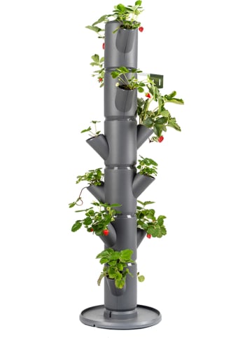 Gusta Garden System sadzenia "Sissi Strawberry Classic" w kolorze szarym - wys. 113 cm