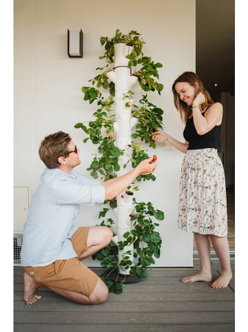 Gusta Garden Pflanzsystem "Sissi Strawberry Infinity" in Weiß - (H)185 cm