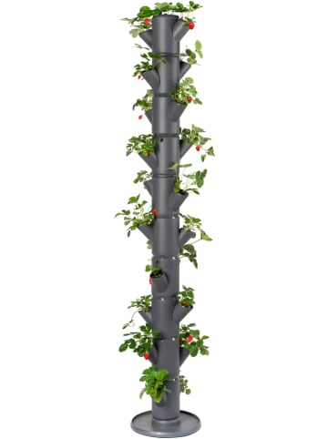 Gusta Garden Pflanzsystem "Sissi Strawberry Infinity" in Grau - (H)185 cm