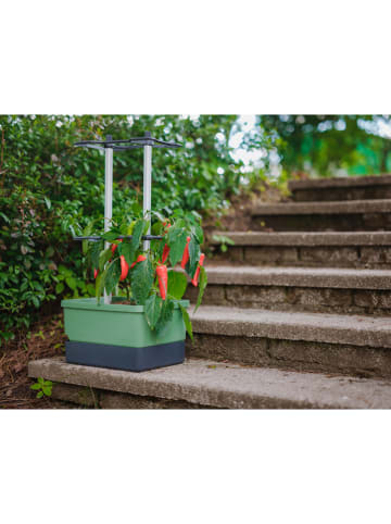 Gusta Garden Donica "Charly Chili" w kolorze zielonym na papryczki chili - 68,7 x 34,5 x 27,5 cm