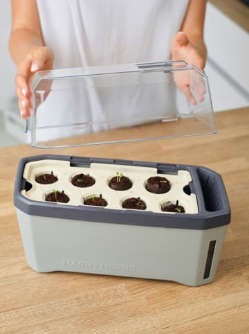 Gusta Garden Doniczka "Harry Herbs" w kolorze szarym na zioła - 35,8 x 25 x 16 cm