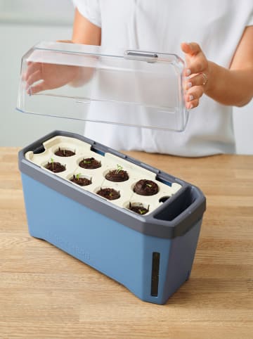 Gusta Garden Doniczka "Harry Herbs" w kolorze niebieskim na zioła - 35,8 x 25 x 16 cm