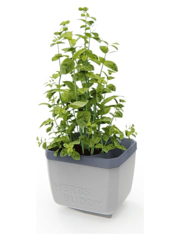 Gusta Garden Kräutertopf "Herbs Buddy" in Grau - (B)16 x (H)14 x (T)13 cm