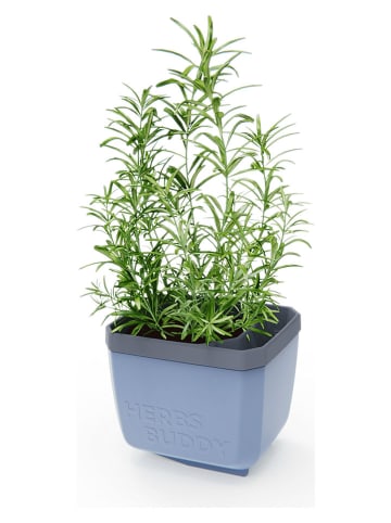 Gusta Garden Doniczka "Herbs Buddy" w kolorze niebieskim na zioła - 16 x 14 x 13 cm