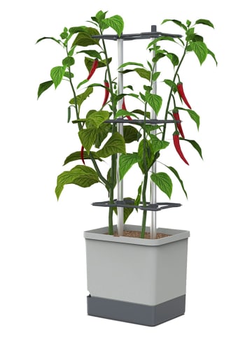 Gusta Garden Donica w kolorze szarym na papryczki chili - 34,5 x 106 x 27,5 cm