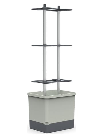 Gusta Garden Chili-Pflanztopf "Charly Chili XL" in Grau - (B)34,5 x (H)106 x (T)27,5 cm