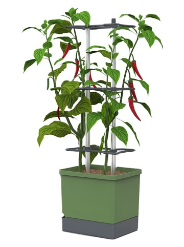 Gusta Garden Donica w kolorze zielonym na papryczki chili - 34,5 x 106 x 27,5 cm