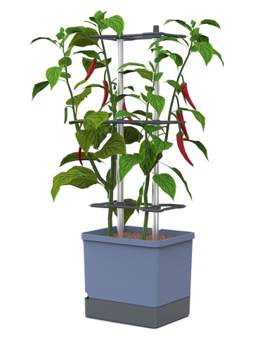 Gusta Garden Donica w kolorze niebieskim na papryczki chili - 34,5 x 106 x 27,5 cm