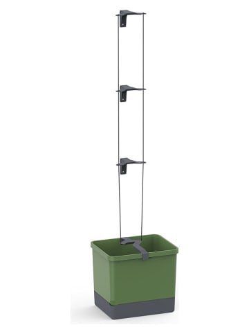 Gusta Garden Donica "Curt Cucumber" w kolorze zielonym na ogórki - 34,5 x 138 x 27,5 cm