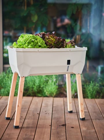 Gusta Garden Grządka w kolorze białym na podwyższeniu z osłonką - 79 x 115 x 37,5 cm