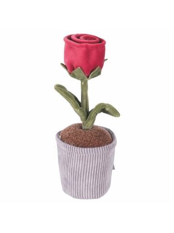 Villa d´Este 5er-Set: Dekoobjekte in Hellgrau/ Rot/ Lila/ Grün