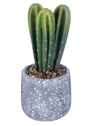 Villa d´Este Kunstplant "Cactus" groen/grijs - (H)29,5 cm