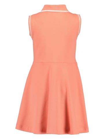 Blue Seven Kleid in Orange