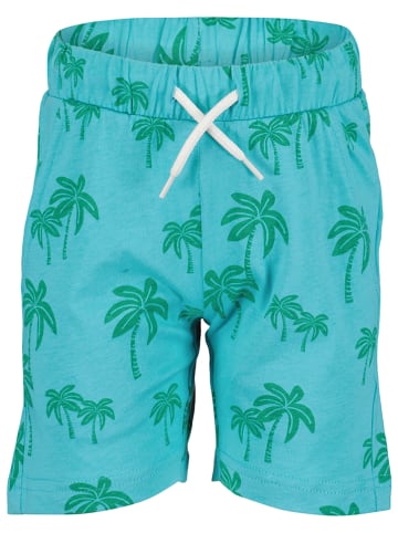 Blue Seven Shorts in Hellblau