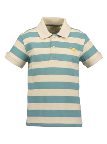 Blue Seven Poloshirt in Creme/ Hellblau