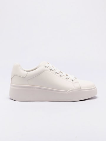 Aldo Sneakers in Weiß