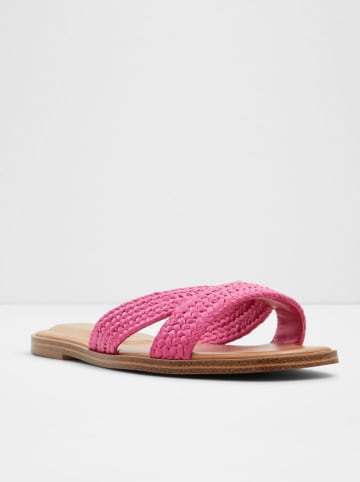 Aldo Pantoletten in Pink
