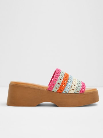 Aldo Pantoletten in Bunt