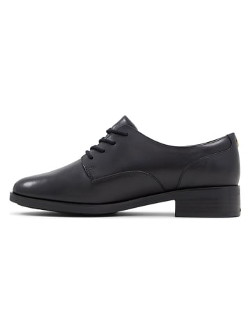 Aldo Leder-Schnürschuhe in Schwarz