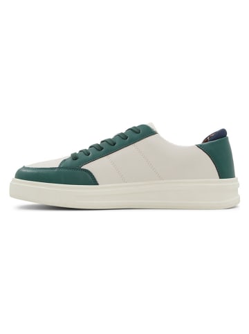 Aldo Sneakers groen/beige