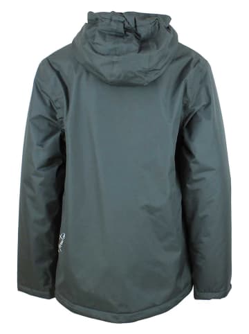 Peak Mountain Funktionsjacke in Grau