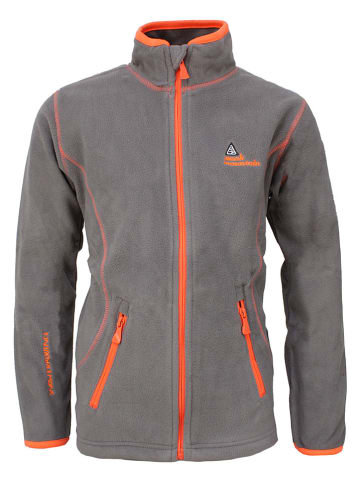 Peak Mountain Fleecejacke in Grau