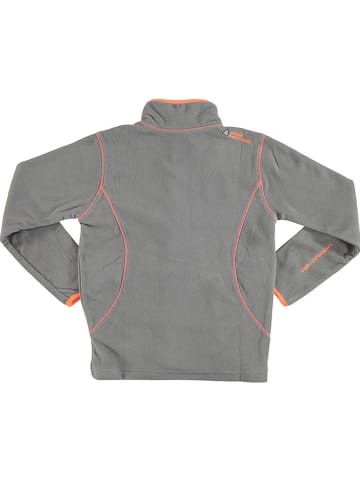 Peak Mountain Fleecejacke in Grau