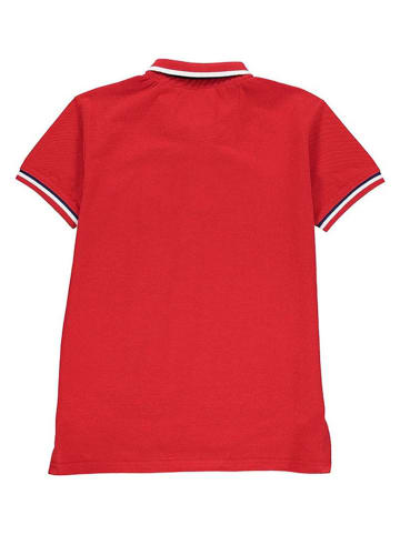 Peak Mountain Koszulka polo w kolorze czerwonym