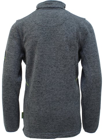 Peak Mountain Bluza polarowa w kolorze szarym