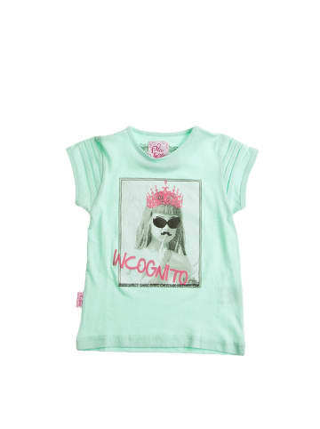 Peak Mountain Shirt in Mint