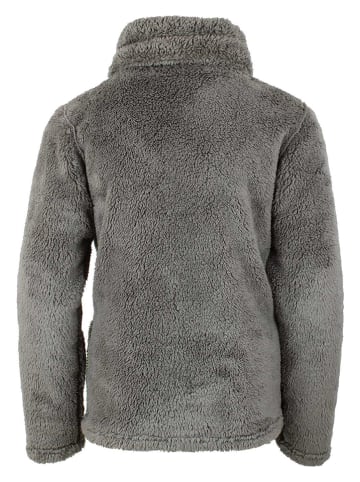 Peak Mountain Fleecejacke in Grau