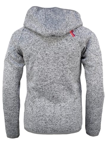 Peak Mountain Fleecejacke in Grau