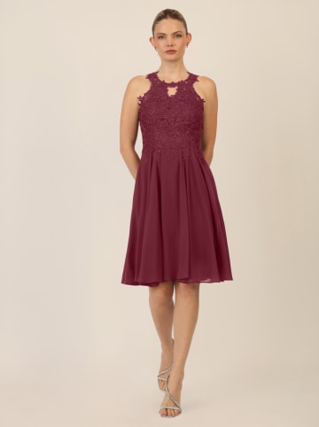 APART Kleid in Bordeaux